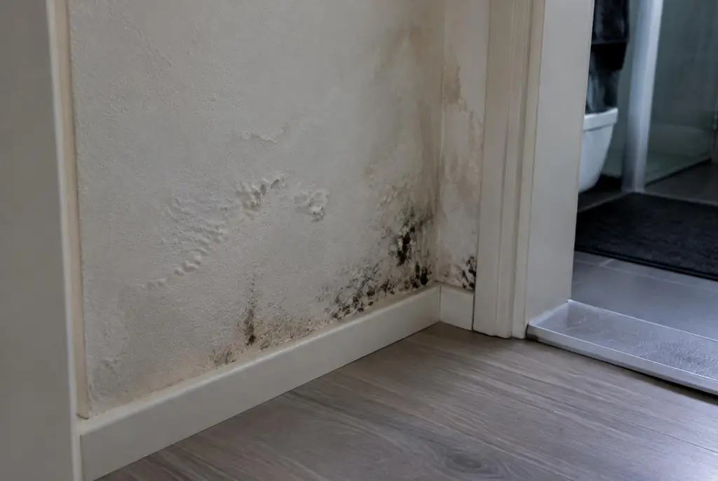 Lekdetectie Hoofddorp – vochtplek met schimmel op een muur